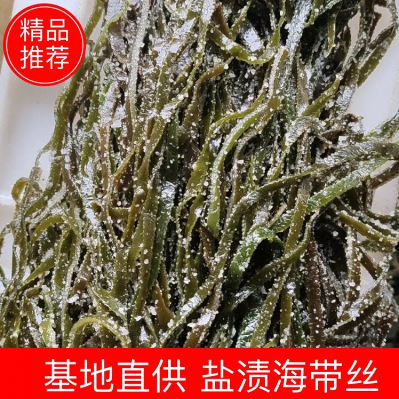 大连盐渍海带丝短丝长丝特级二绿厂家电商一件代发