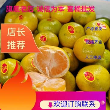 高山蜜橘，口感甜水份足果面干净皮薄汁多