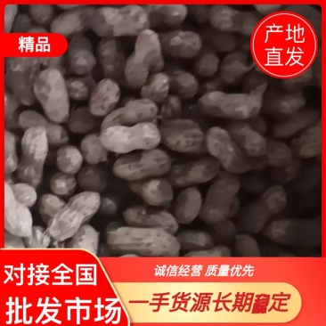 优质鲜花生销售，质优价廉，