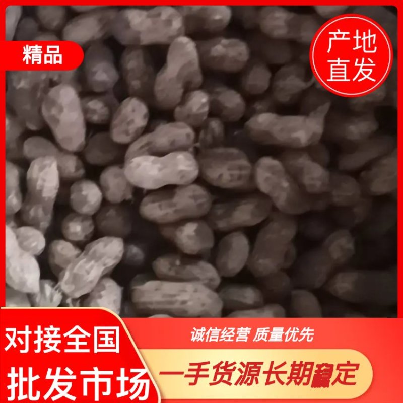 优质鲜花生销售，质优价廉，