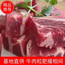 牛肉粒肥瘦相间，烤肉，炖肉，穿串原切牛肉粒，调理牛肉粒，