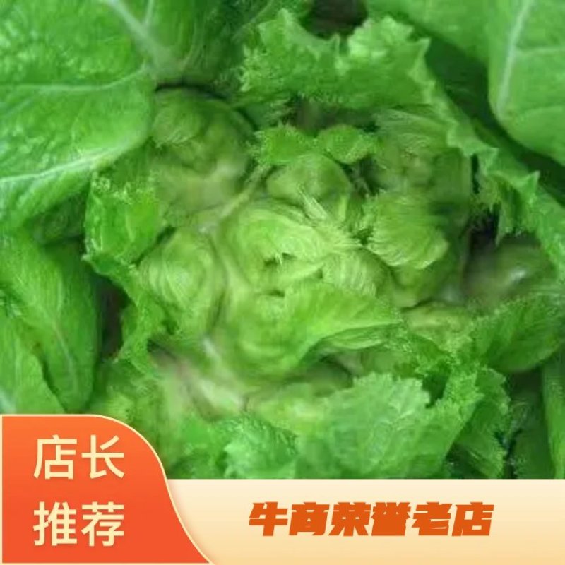 安徽宿州精品儿菜，多子菜，娃娃菜，专业代发直供产地