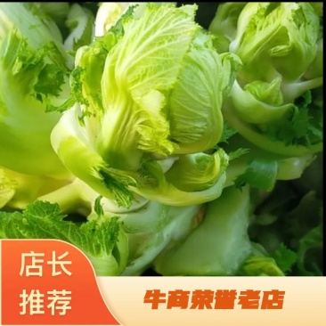 安徽宿州精品儿菜，多子菜，娃娃菜，专业代发直供产地