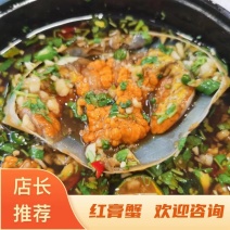 红膏蟹，(青蟹)，红膏母蟹，活冻品质，6只包邮