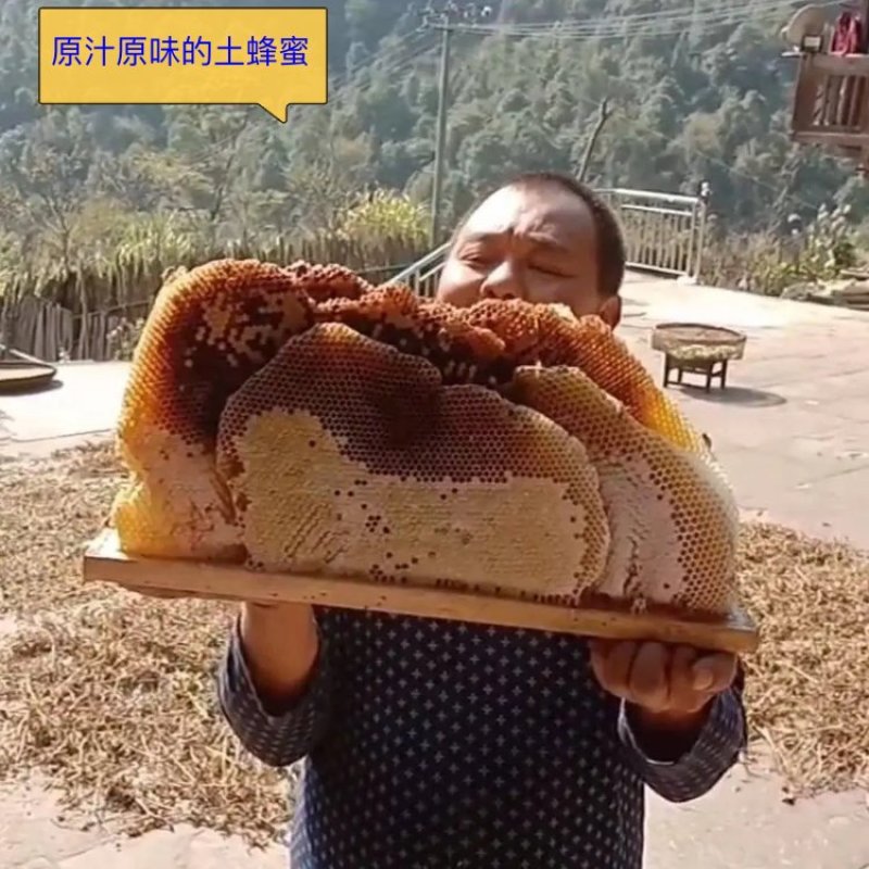 农家大山野生土蜂蜜山里的甜蜜味道原汁原味的土蜂蜜