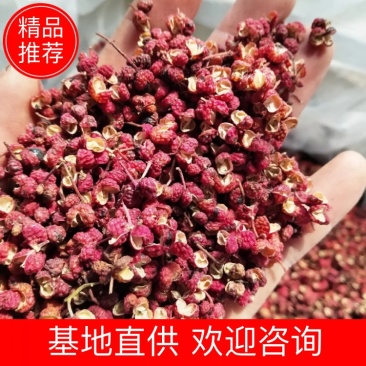 陕西渭南华州秦塬花椒农户一手货源。产地直销。麻香龙度大