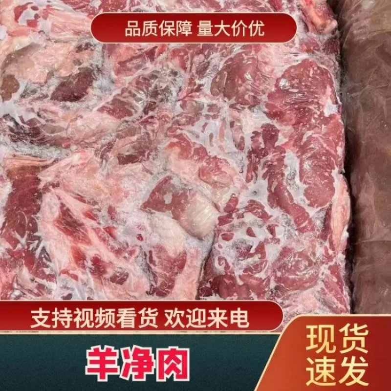 羊净肉纯干不调理羊板肉羔羊品质好