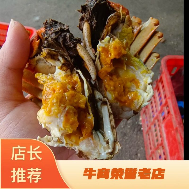 湖北省洪湖精品清水河蟹精品礼盒装公母搭配物美价廉