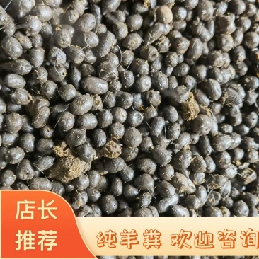 羊粪，纯羊粪大量有货产地直发可视频看货欢迎选购