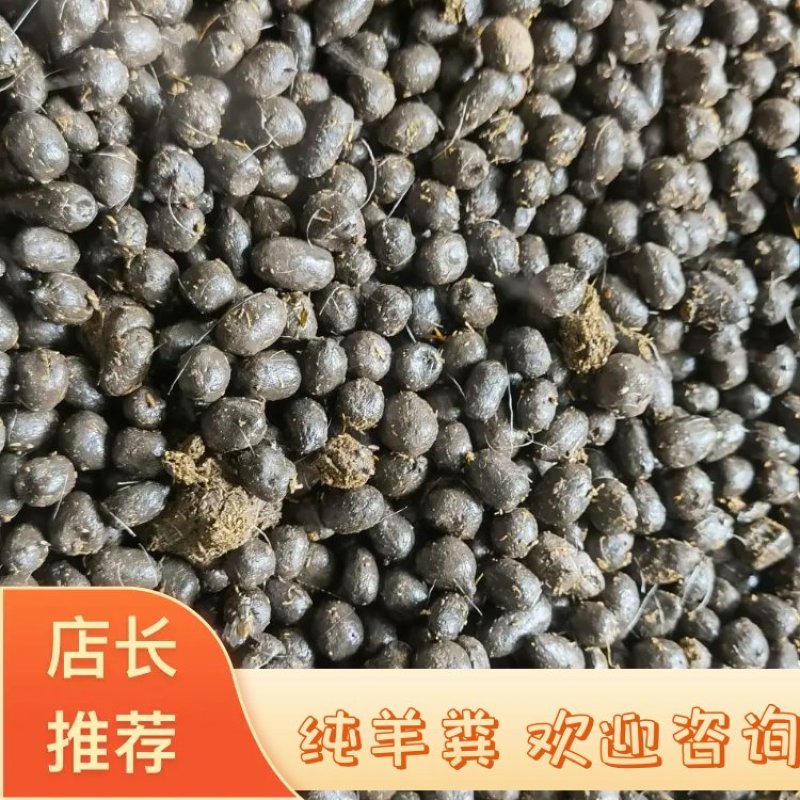 羊粪，纯羊粪大量有货产地直发可视频看货欢迎选购