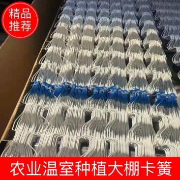 卡簧农业温室种植大棚卡簧多种规格多种型号厂家供货