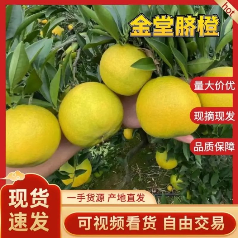 四川金堂脐橙，产地供货，量大价优，欢迎联系