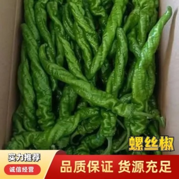 螺丝椒，福建陇椒诏安基地量大直发，富硒之地，来电优惠
