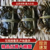 【河蟹】精品红膏大闸蟹，鲜活，多规格全国发货