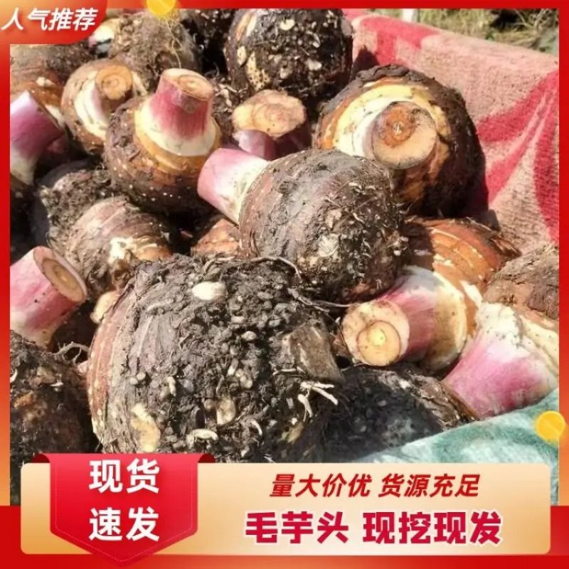 【毛芋头】云南河口毛芋头产地货源品质保证量大从优