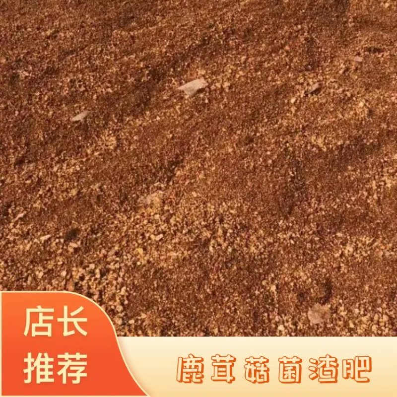 鹿茸菇菌渣肥产地发货可视频看货欢迎电话详细了解