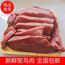 新鲜鸵鸟肉价格优惠！山东鸵鸟肉多少钱一斤！全国包邮！