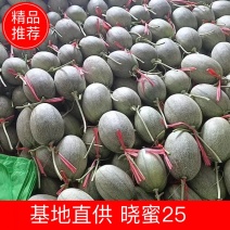 【精品】晓蜜25哈密瓜产地大量上市有需要的我