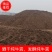 ，发酵纯牛粪，散装袋装都可以。