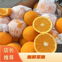 橙子一手货源品质保证对接各大电商全国发货