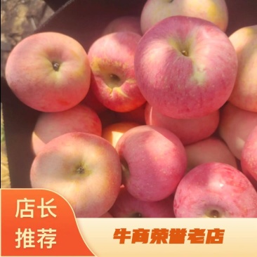 山东威海荣成苹果，自家一手货源，货源充足，需要的朋友联系