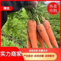 【热卖】宿州胡萝卜精品现货货源，可对接商超可视频