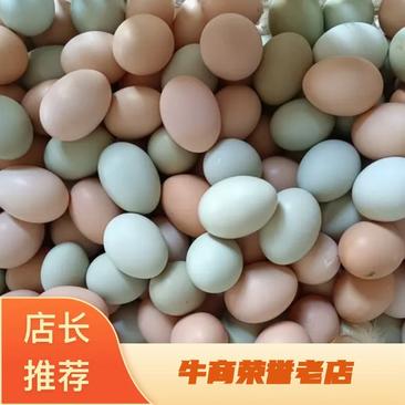 土鸡蛋传统散养食杂粮蔬菜杂草一箱50枚一件代发