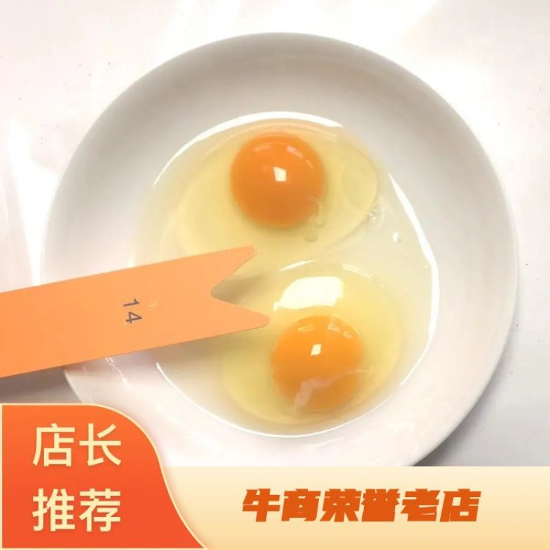 山东双色富硒无抗鸡蛋商超品质提供检测报告，可喷码代工