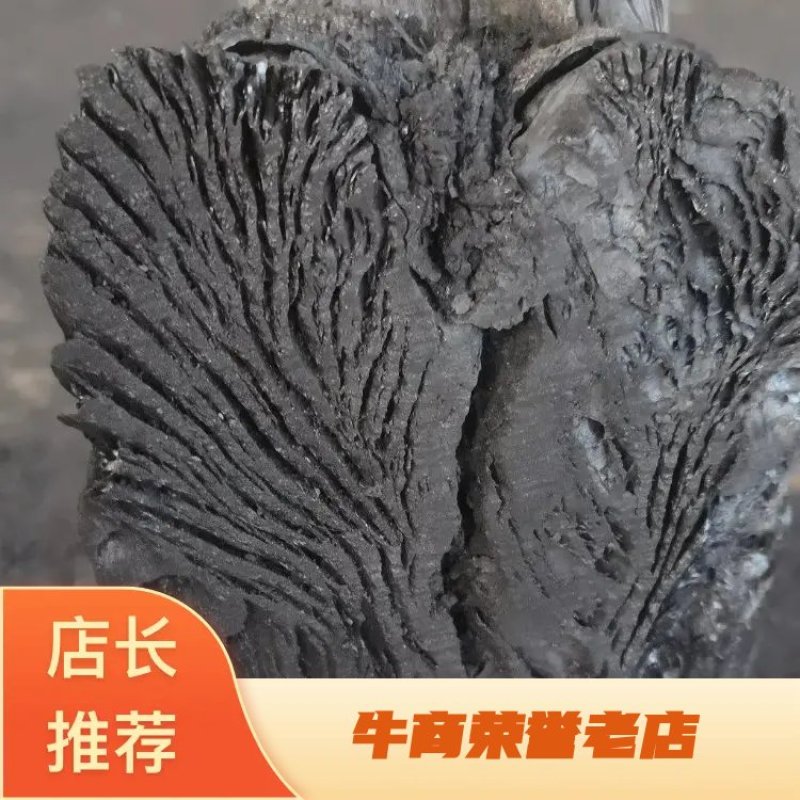 木炭、纯荔枝龙眼果树炭，烧烤、取暖、耐用、无炭头、无炭皮