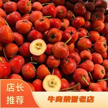 甜红子种植基地大量有货个头均匀欢迎老板来电