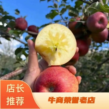 阿克苏糖心苹果🍎坏果包赔质量保证可视频看货