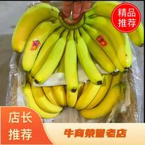全金黄进口香蕉，质优，价廉: