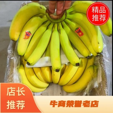 全金黄进口香蕉，质优，价廉: