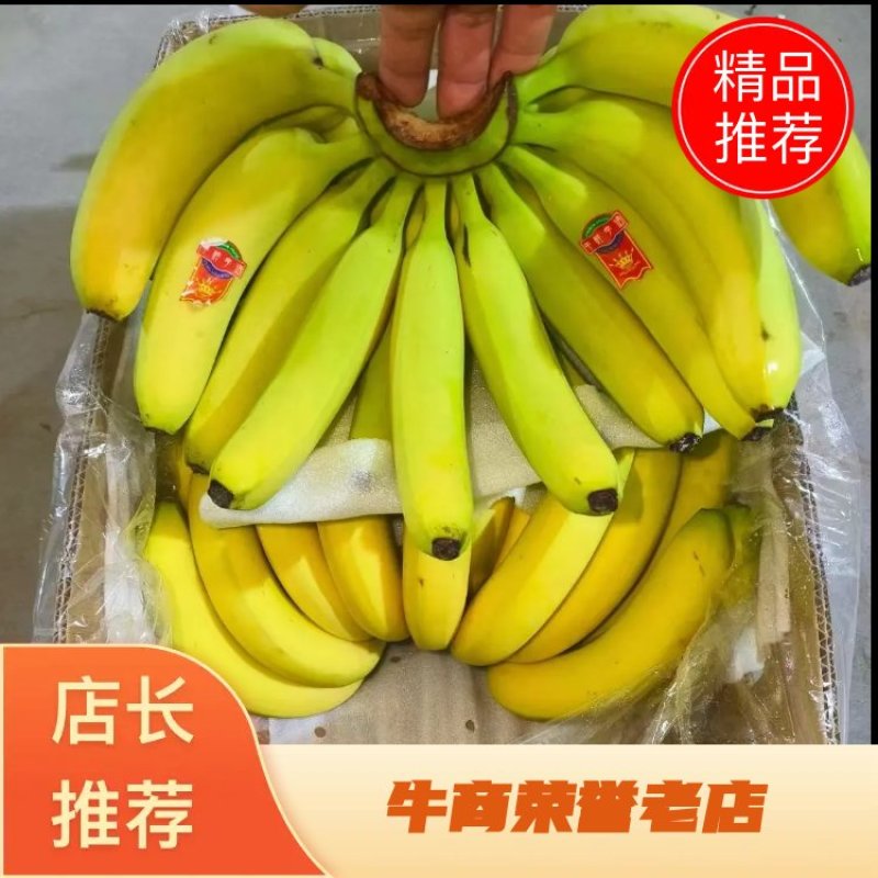 全金黄进口香蕉，质优，价廉:
