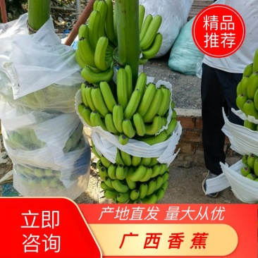 广西索道