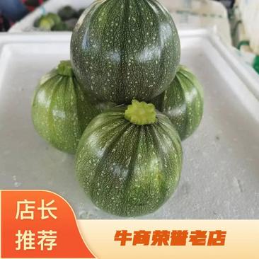 【精品】广西西葫芦小圆瓜绿色圆亮大量上市欢迎采购