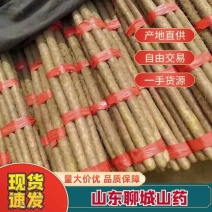 山药跳楼啦！跳楼啦！机不可失，失不再来！欢迎新老客户光临