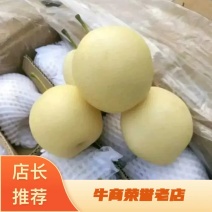 皇冠梨多年供货，水分充足，口感脆甜，大量出货中