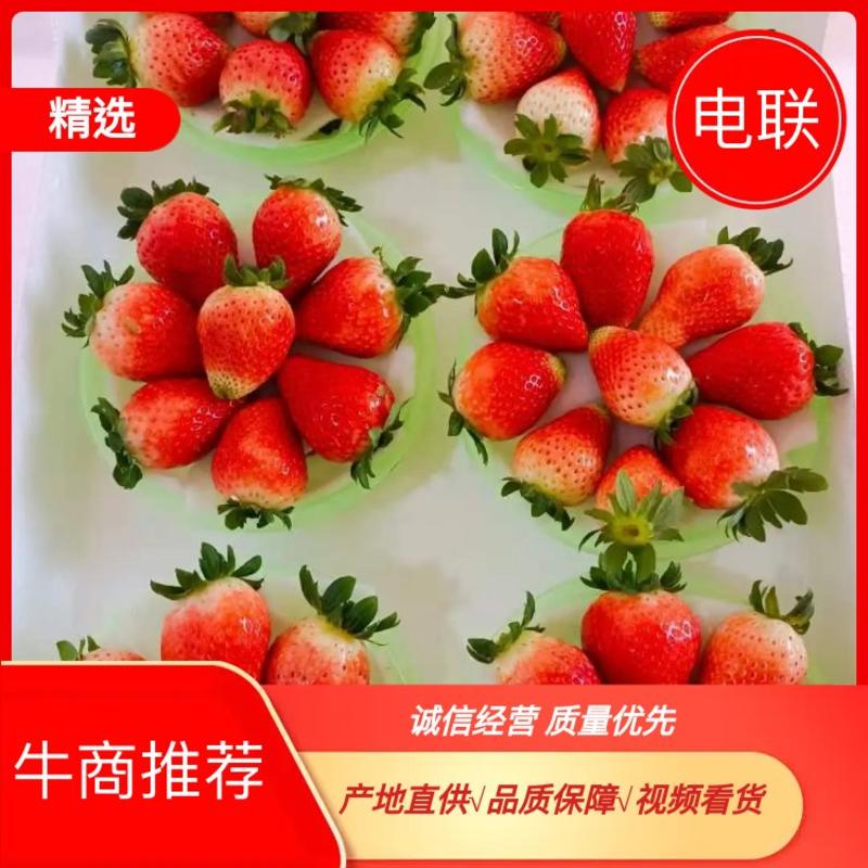 【草莓】徐州草莓多汁爽口妙香口感物美价廉长期合作