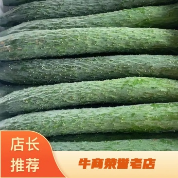 黄瓜湛江密刺黄瓜青瓜现货大量上市货源充足产地直发