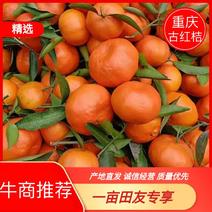 [热卖]重庆万州古红桔桔子蜜橘沙糖桔产地直发