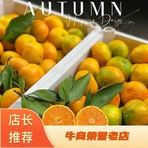 云南高山蜜橘，一手精品货源，欢迎广大客商致电咨询实地考察