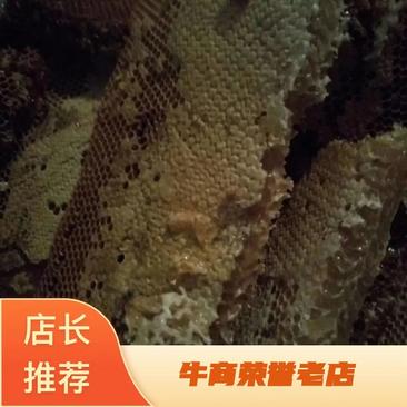 陕西野生土蜂蜜，货量充足品质保障，可视频看货！