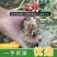 【精品红蒜】山东聊城莘县大蒜物美价廉！电商美团优选商品哦！