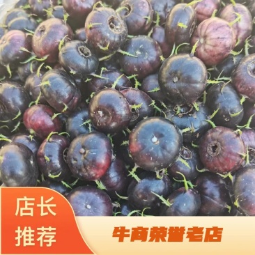 [热卖]云南马关县红果参蜘蛛果山荸荠产地直发