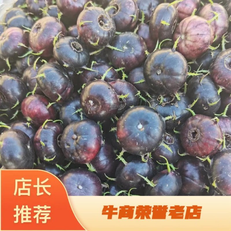 [热卖]云南马关县红果参蜘蛛果山荸荠产地直发