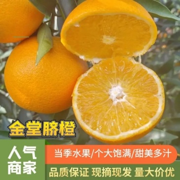 金堂脐橙规格齐全四川产地脐橙基地直供量大价优来电订货