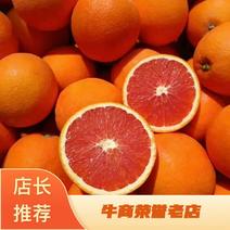 重庆万州玫瑰血橙大量有货量大从优欢迎老板