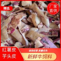 【猪牛羊饲料】广西新鲜芋头皮红薯皮厂家直供长期供应