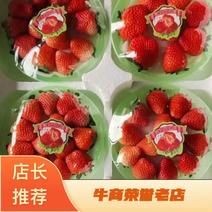 宁玉草莓香甜种植基地价格可长期合作欢迎老板